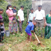 National Plantation Day Environment Program 2022.09.17 - 23 Rukropana Week / Homagama